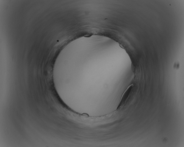 X0000092110043200710101152