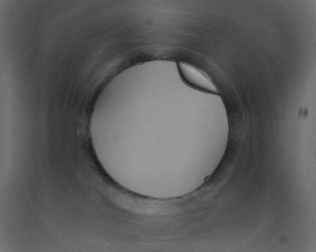 X0000092110044200710101152