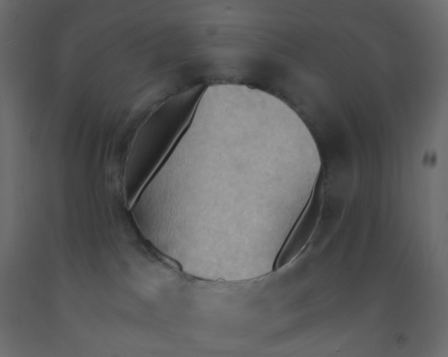 X0000092110045200710101152