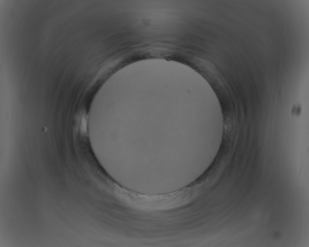 X0000092110046200710101152