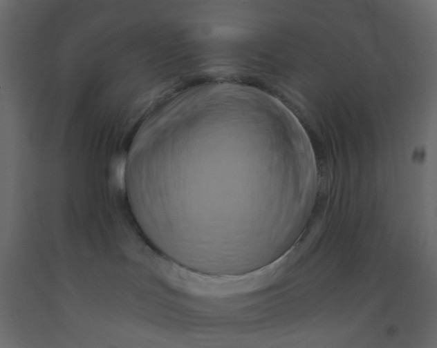 X0000092110047200710101152