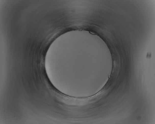 X0000092110048200710101152
