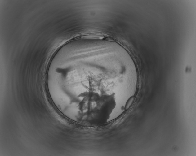X0000092110049200710101152