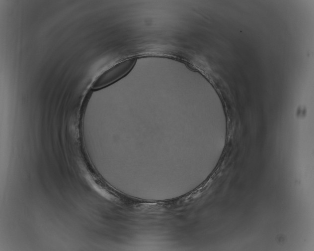 X0000092110050200710101152