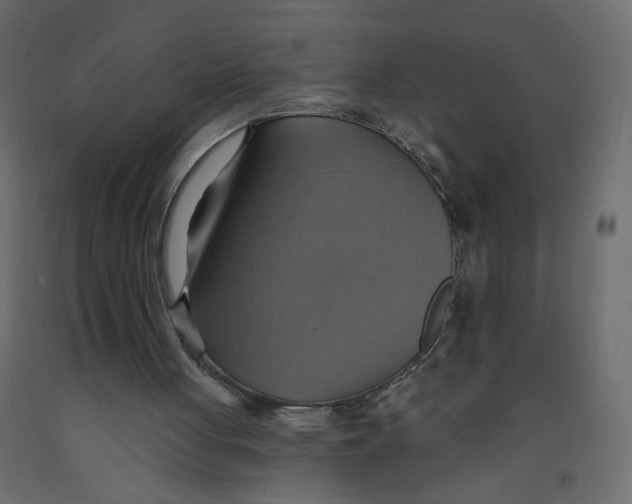 X0000092110051200710101152