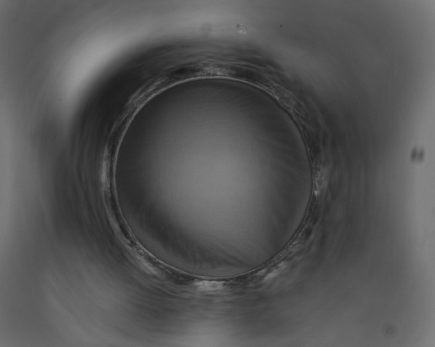 X0000092110052200710101152