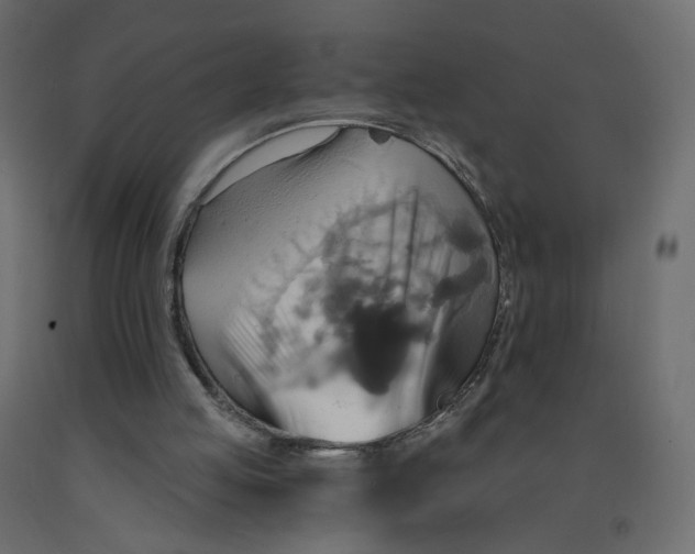 X0000092110053200710101152
