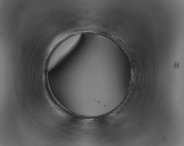 X0000092110054200710101152