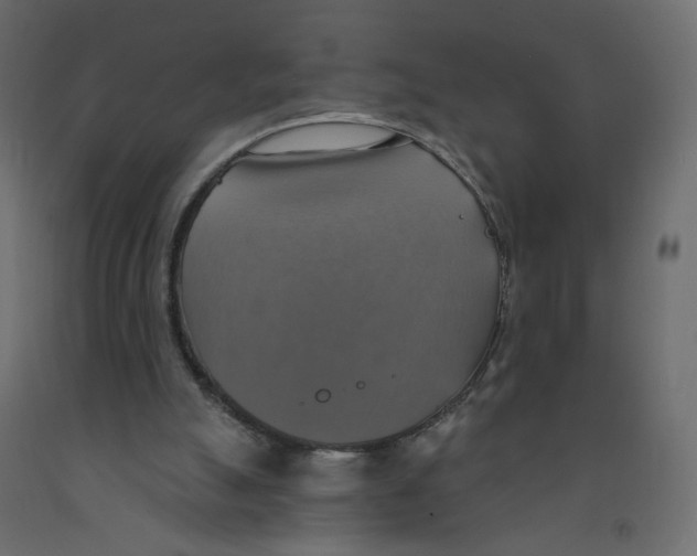 X0000092110055200710101152