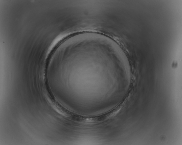 X0000092110056200710101152