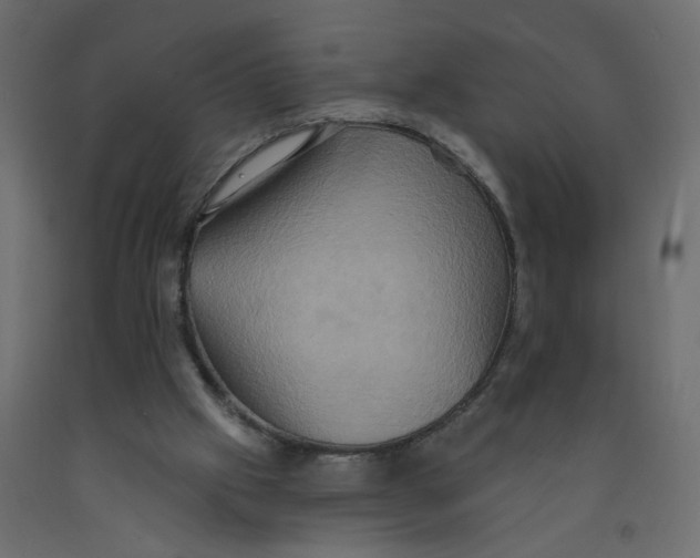 X0000092110057200710101152