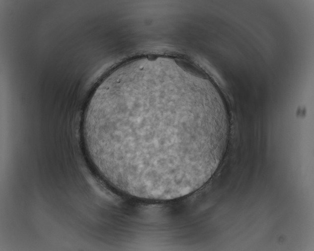 X0000092110058200710101152