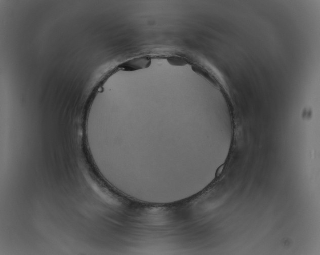 X0000092110059200710101152