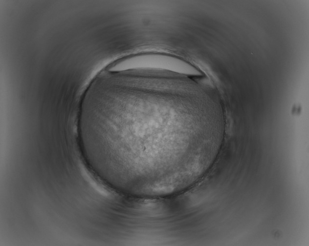 X0000092110060200710101152