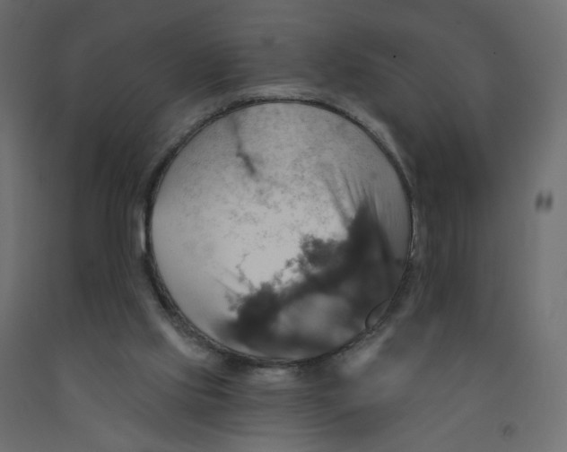 X0000092110061200710101152
