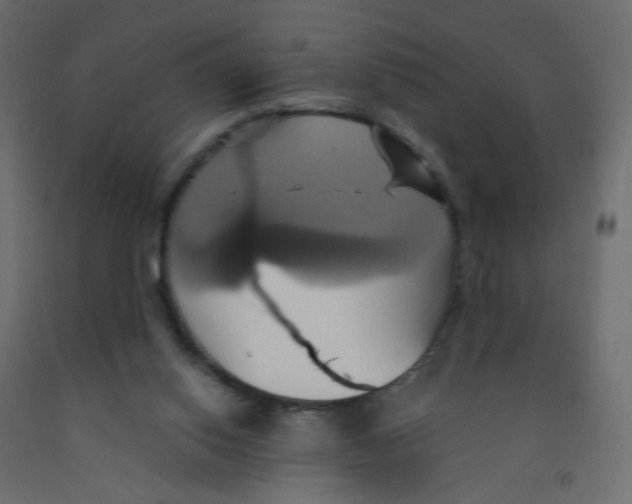 X0000092110062200710101152