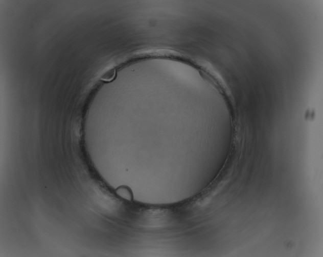 X0000092110063200710101152