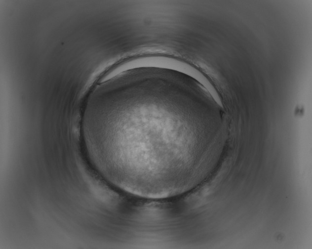 X0000092110064200710101152