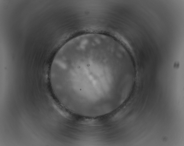 X0000092110065200710101152