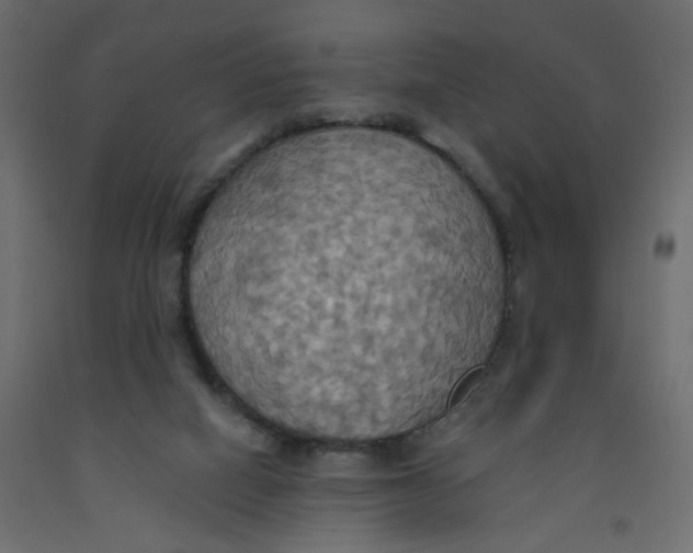 X0000092110066200710101152