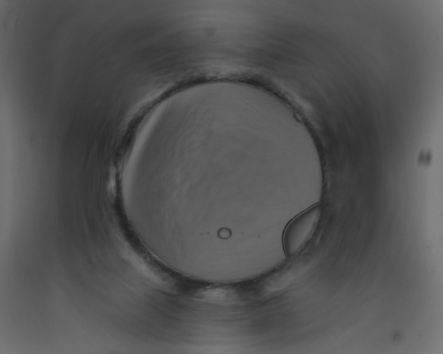 X0000092110067200710101152