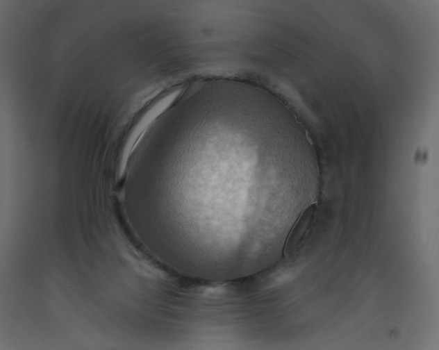 X0000092110068200710101152