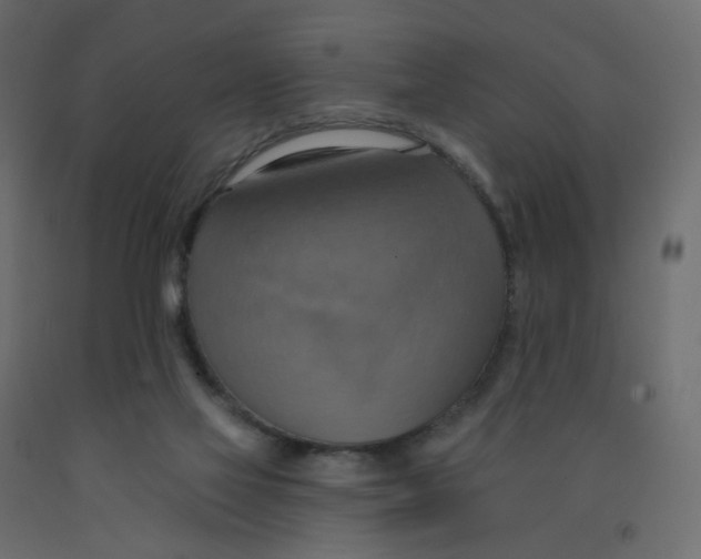 X0000092110069200710101152