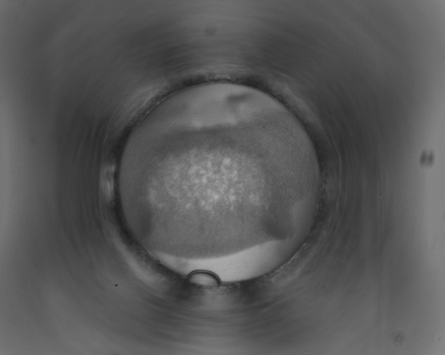 X0000092110070200710101152