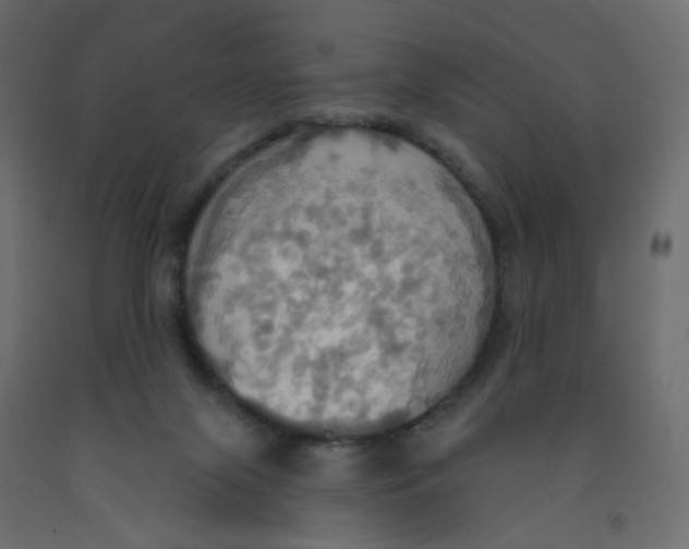 X0000092110071200710101152