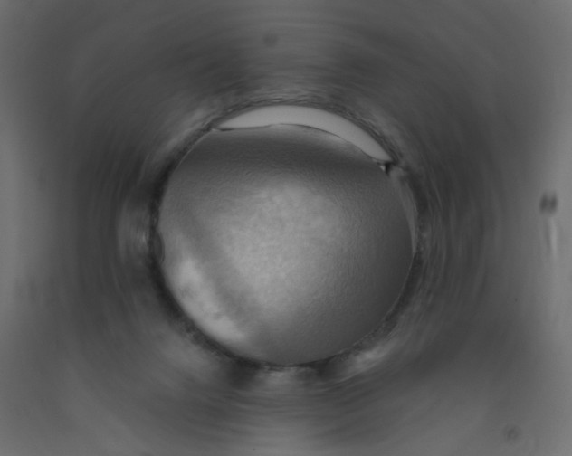 X0000092110072200710101152