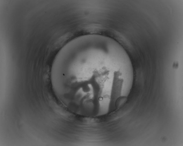 X0000092110073200710101152