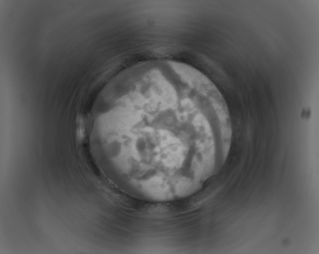 X0000092110075200710101152