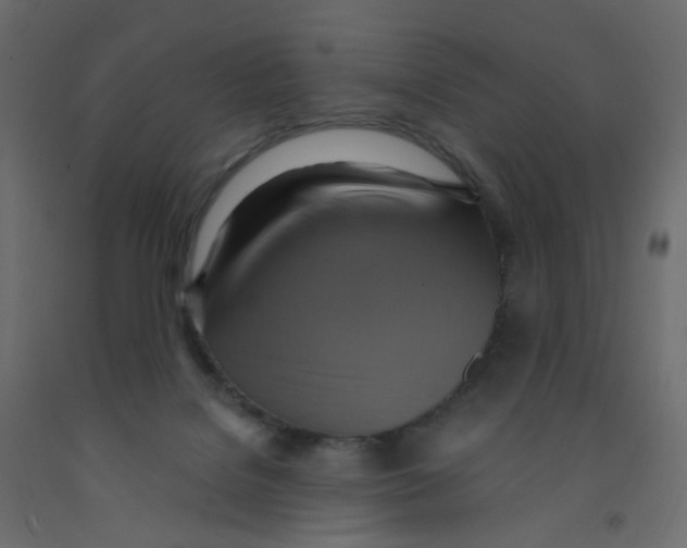 X0000092110076200710101152