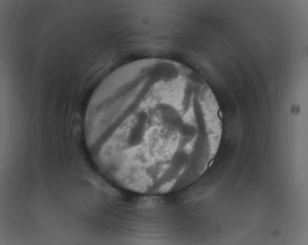X0000092110077200710101152