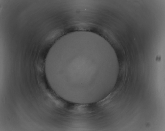 X0000092110078200710101152