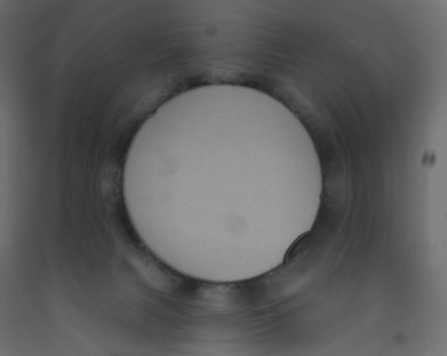 X0000092110079200710101152