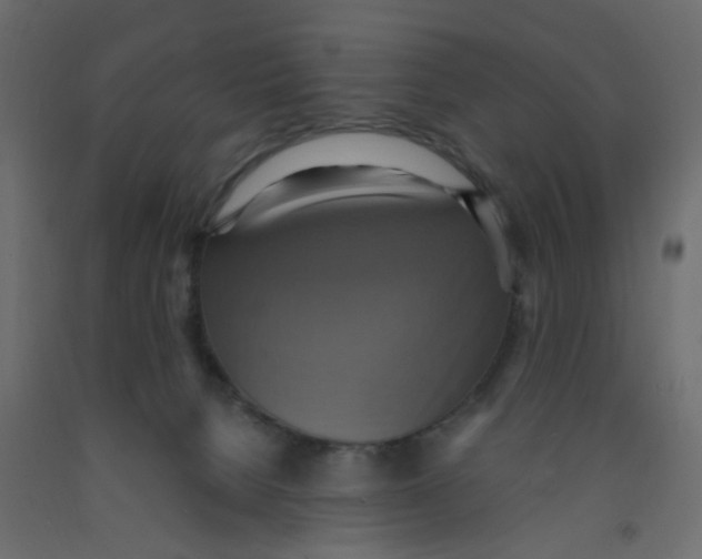 X0000092110080200710101152