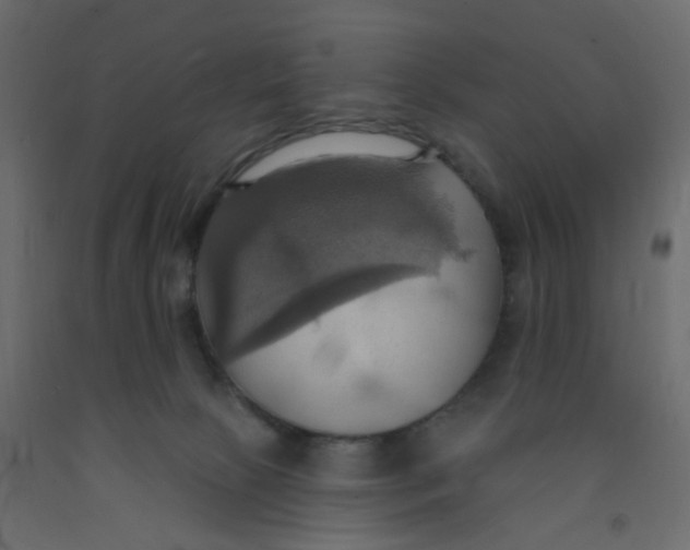 X0000092110081200710101152