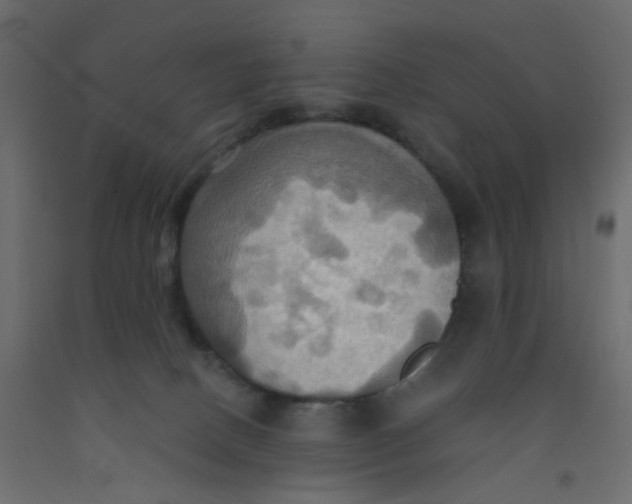 X0000092110082200710101152