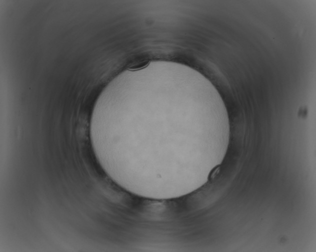 X0000092110083200710101152