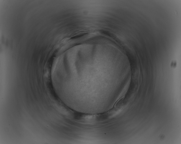 X0000092110084200710101152