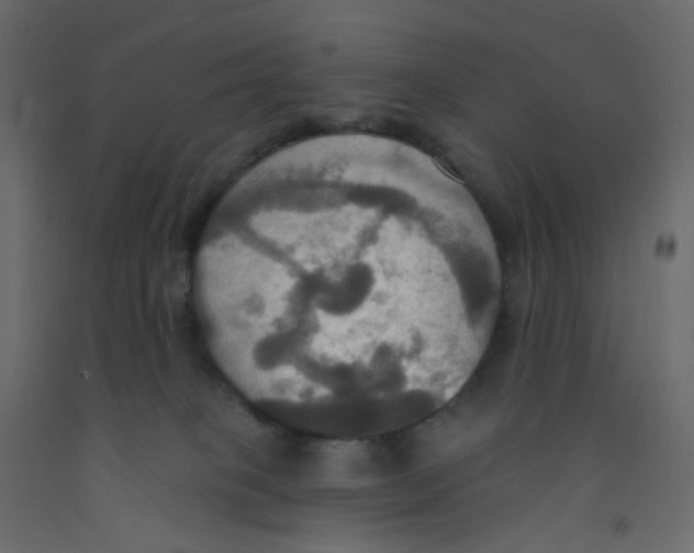 X0000092110085200710101152