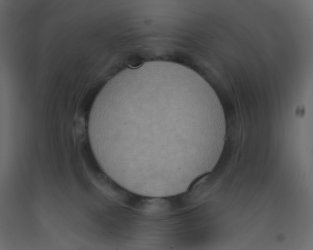 X0000092110087200710101152