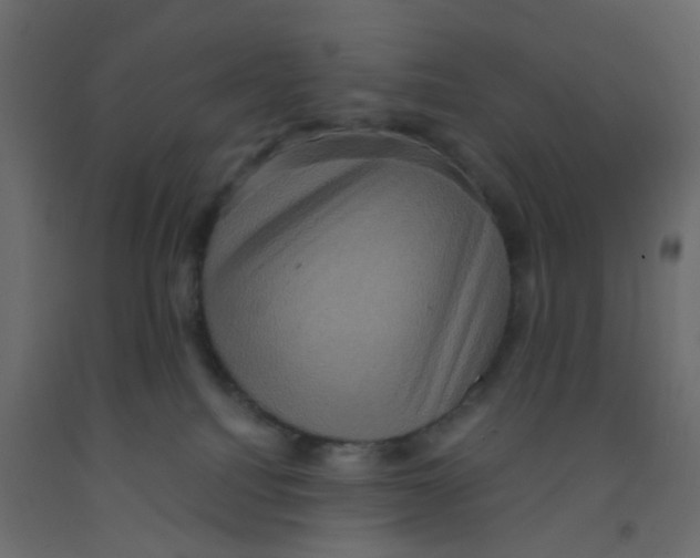 X0000092110088200710101152
