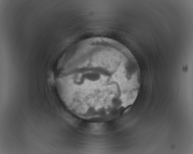 X0000092110089200710101152