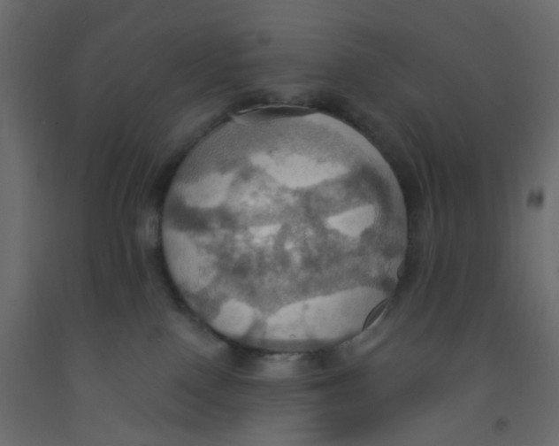 X0000092110090200710101152