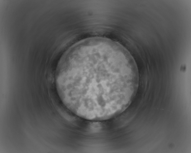 X0000092110091200710101152