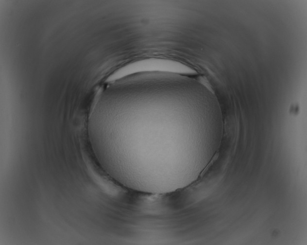 X0000092110092200710101152