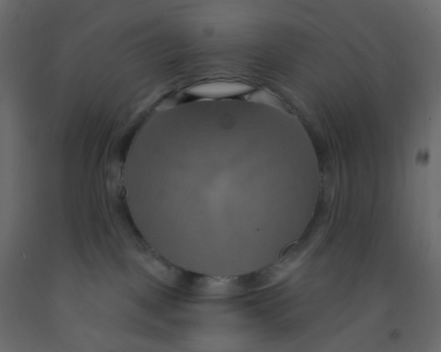 X0000092110093200710101152