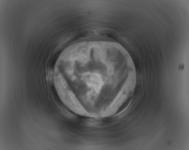 X0000092110094200710101152
